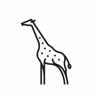 Africa: Giraffe outline icon