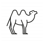 Asia: Mongolian Camel outline icon