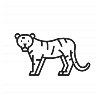 Asia: Tiger outline icon