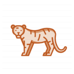 Asia: Tiger filled outline icon