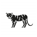 Asia: Tiger glyph icon