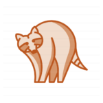 North America: Raccoon filled outline icon