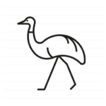 Australia: Emu outline icon