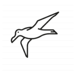 Antarctica: Wandering Albatross outline icon